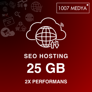 Seo Hosting 25GB