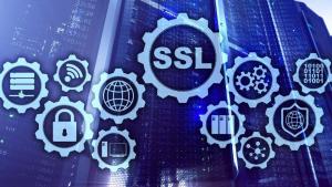 SSL Güvenlik Sertifikası Önemi