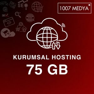 75 GB Hosting Paketi