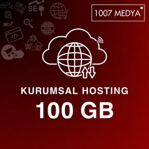 100 GB Hosting Paketi